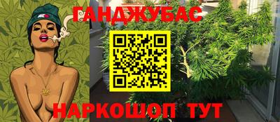 дживик Кимры