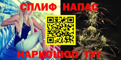 винт Кингисепп